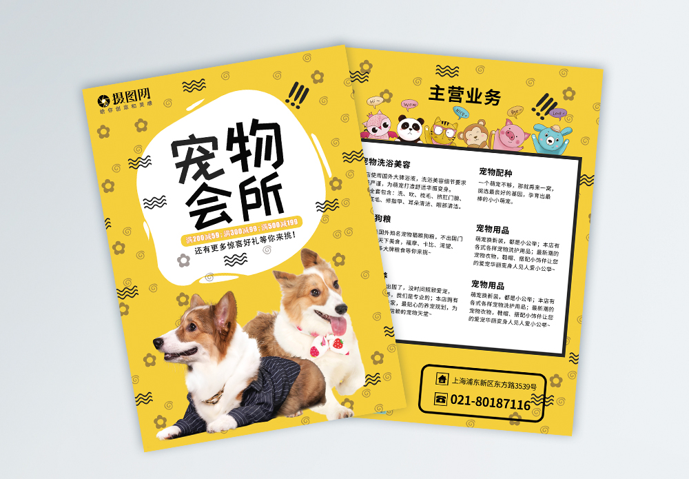寵物箱海報設計 連接溫暖與專業(yè)的寵物服務窗口