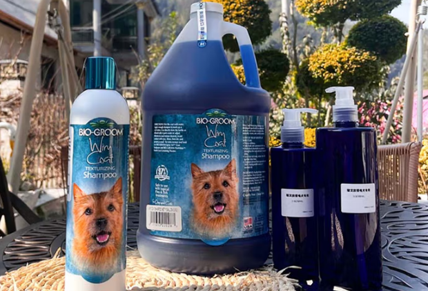 碧艾歐 以專業(yè)與關(guān)懷為核心的寵物服務(wù)新品牌