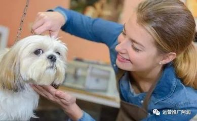 寵物醫(yī)院抖音線上推廣攻略 打造專業(yè)又溫暖的寵物服務(wù)品牌